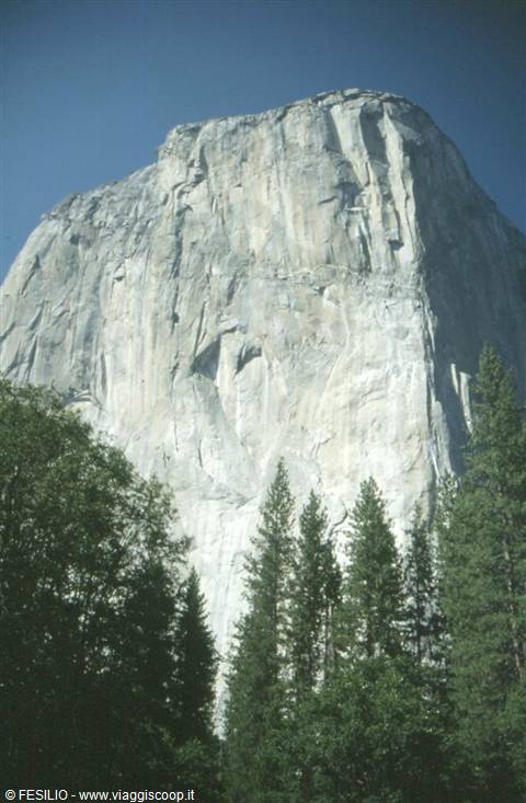 YOSEMITE - EL CAPITAN