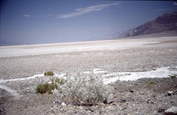 DEATH VALLEY