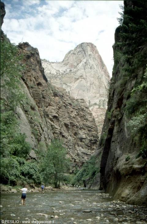 ZION NATIONAL PARK