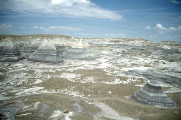 PETRIFIED FOREST