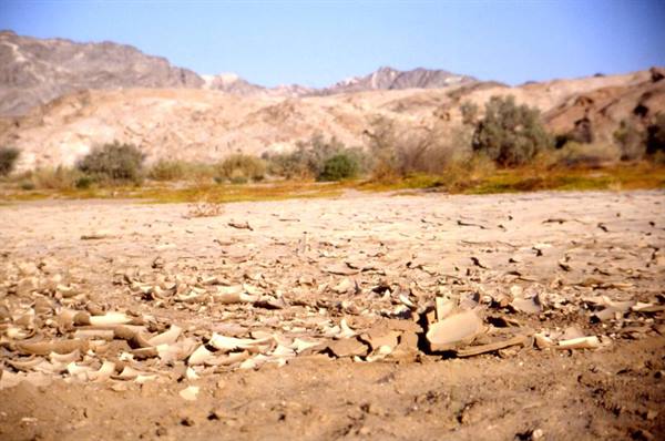 THE 'EARTH'S CRUST'