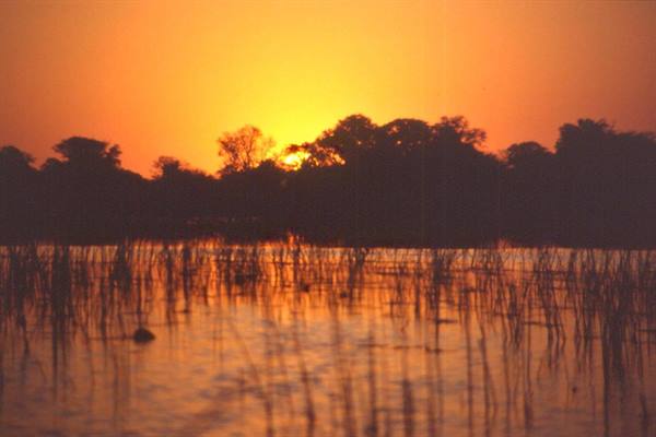 OKAVANGO DELTA
