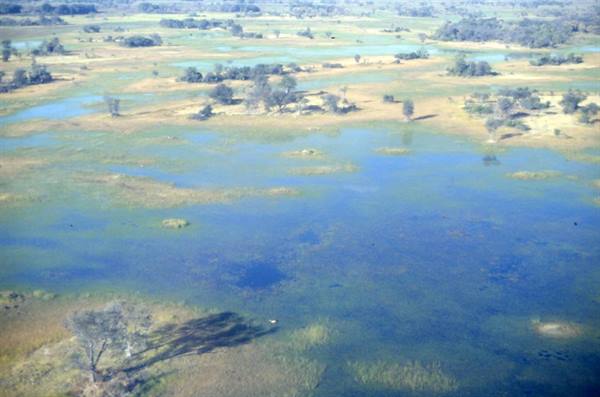 OKAVANGO DELTA