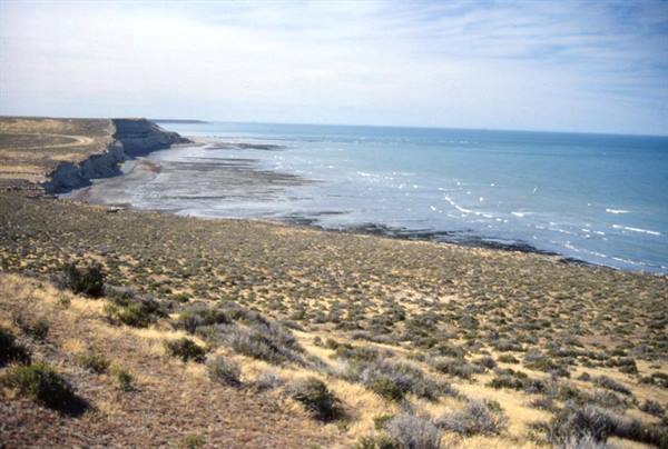 VALDES PENINSULA