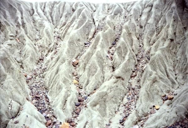 PETRIFIED FOREST