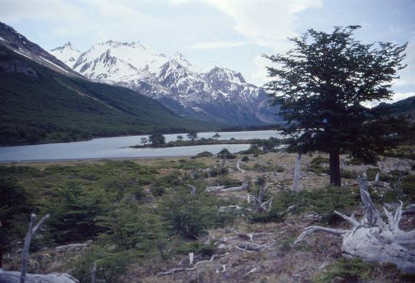 TOWARDS FITZ ROY