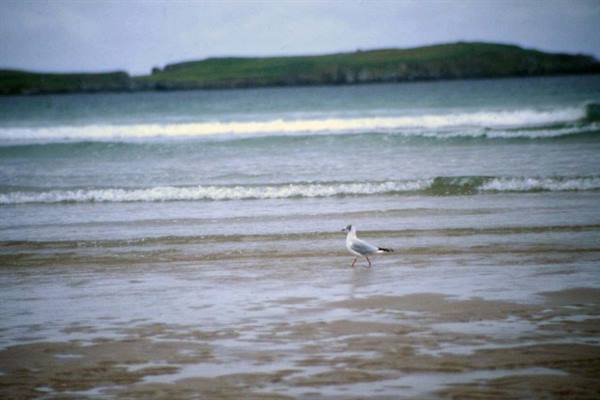 THE NORTH COAST