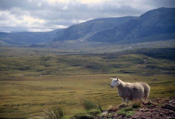 HIGHLANDS
