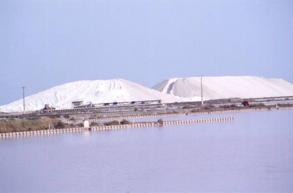 AIGUES-MORTES