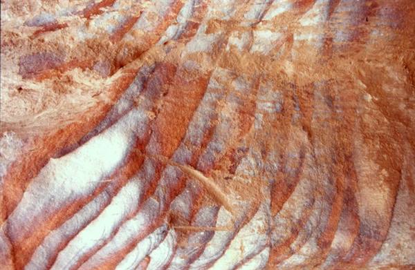 PETRA