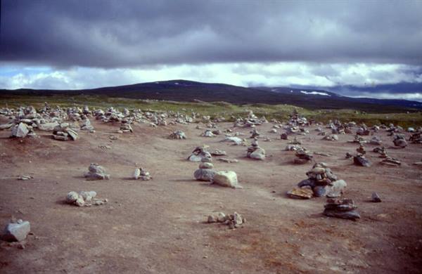 ARCTIC CIRCLE