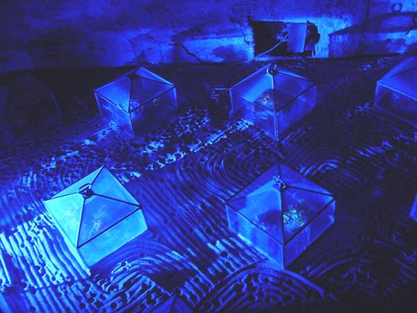 Glass cases lit in blue over sand sculptures, inside a cave