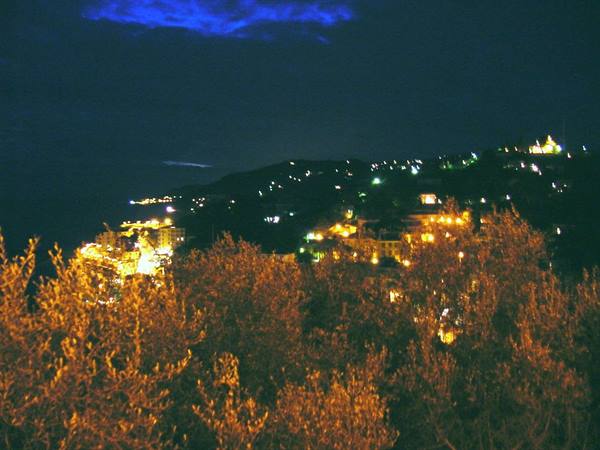 Lit trees in foreground, night lights of houses along the coastline