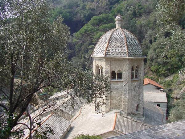 Stone tiburio with rebuilt dome among trees, large tree in foreground