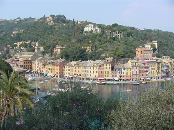Colorful houses of Portofino overlooking the harbor filled with boats