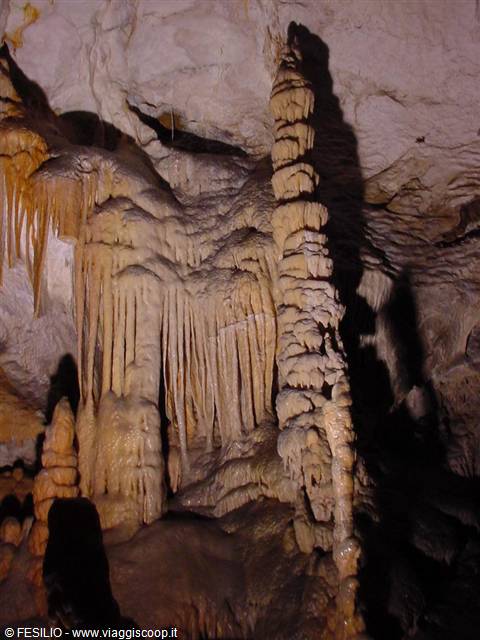 White stalagmite columns and stalactites in the lit cave