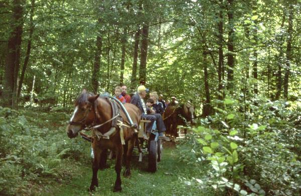 BIALOWIESKA