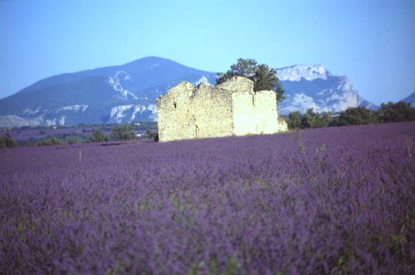 TOWARDS VALENSOLE