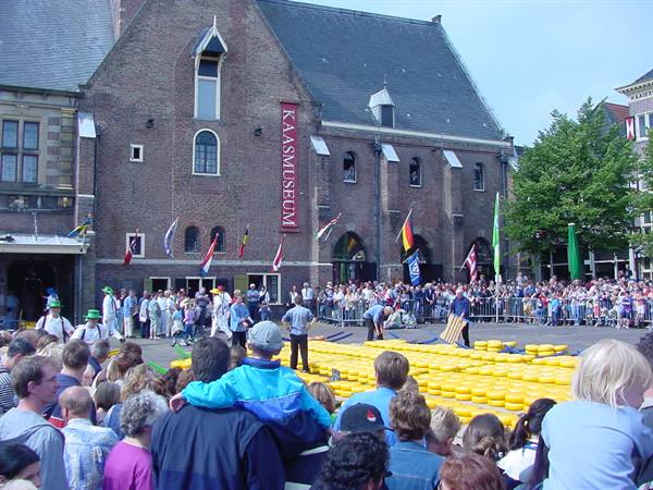 ALKMAAR