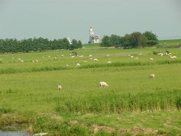 MARKEN