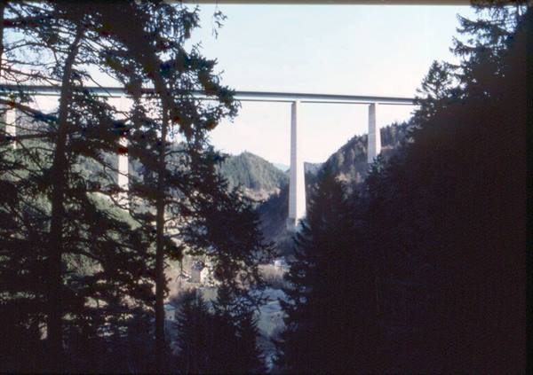 Concrete viaduct towering among dark firs above a forested valley