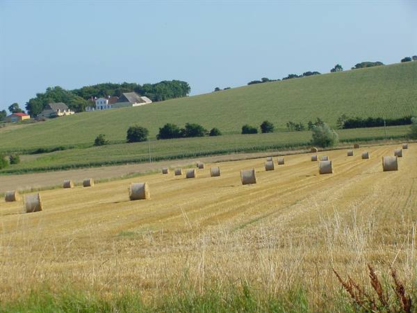 TOWARDS MARSTAL