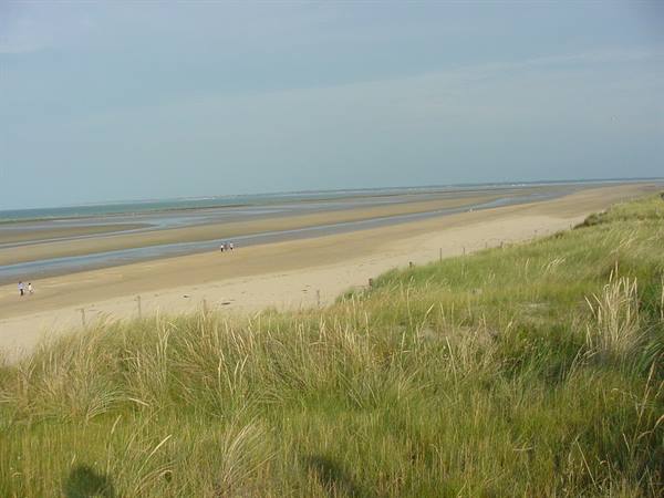 UTAH BEACH