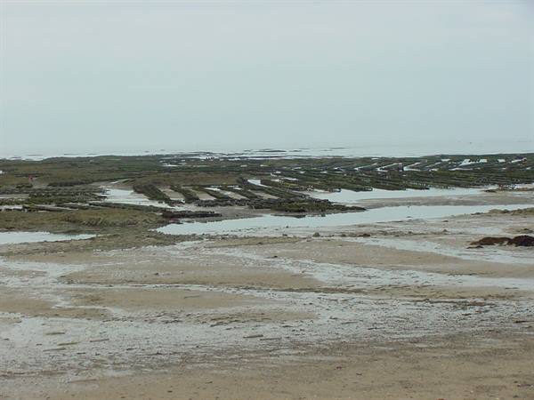 COUTAINVILLE - LOW TIDE