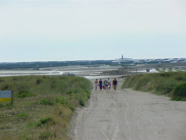 COUNTAINVILLE - END OF THE SHELLFISH HARVEST