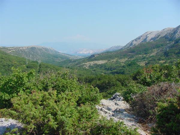 TOWARDS BASKA