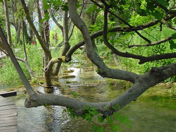 KRKA PARK
