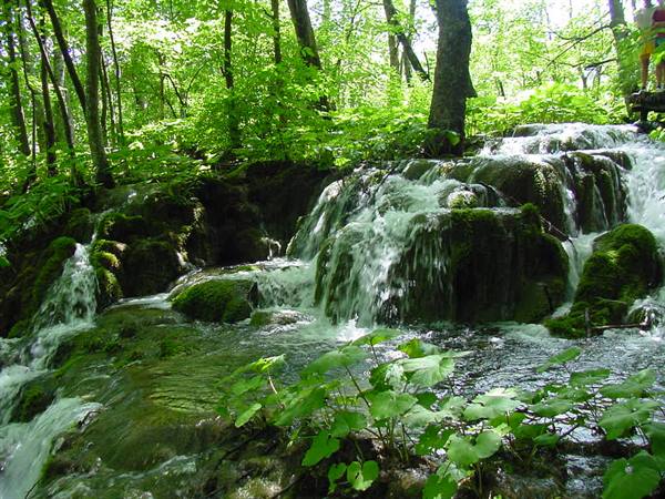 PLITVICE