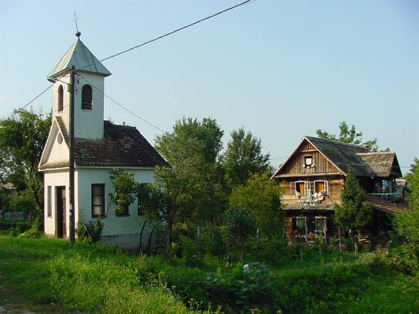 CIGOC