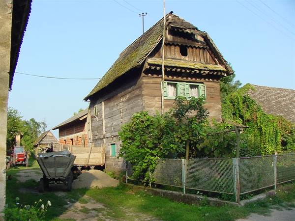 CIGOC