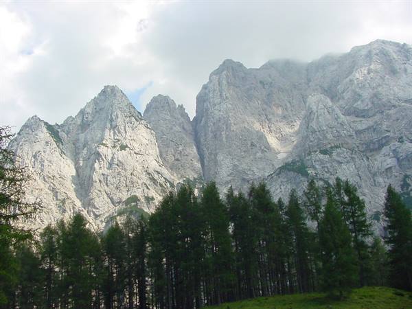 VRSIC PASS