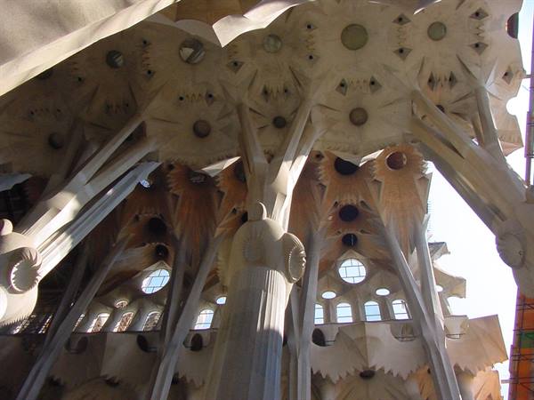 Branching columns and stone ceiling of the Sagrada Família, daylight through windows