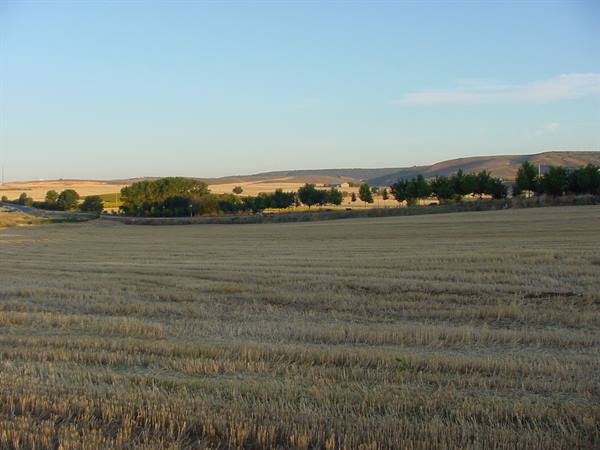TOWARDS MADRID
