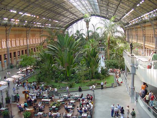 Tropical garden with palms under the glass roof of Atocha station
