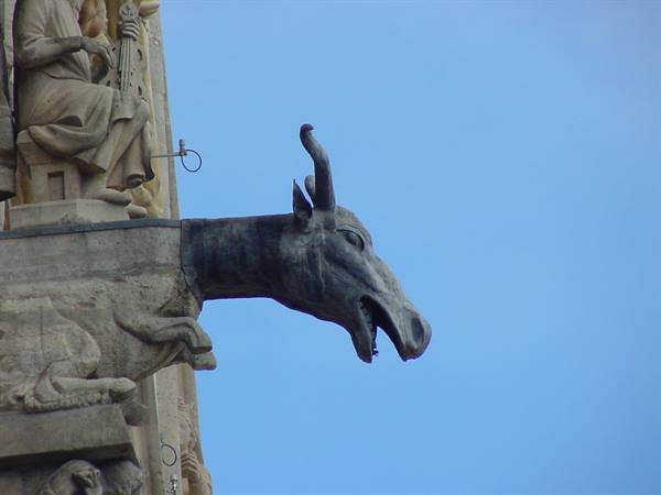 REIMS