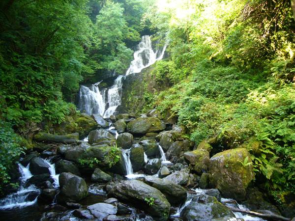 Torc Waterfall: water cascading over mossy rocks among ferns and trees