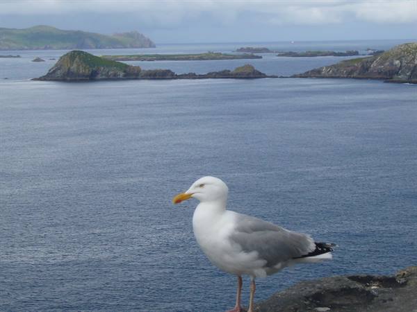 DINGLE PENINSULA