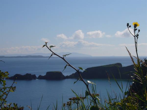 THE COAST