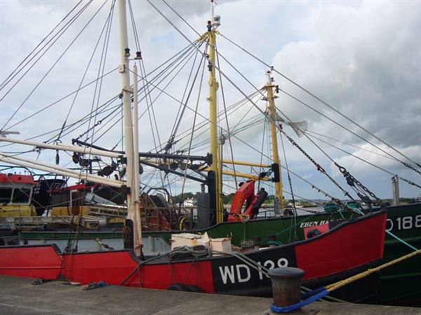 WEXFORD