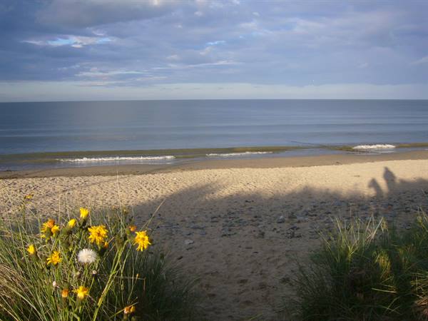 ROSSLARE