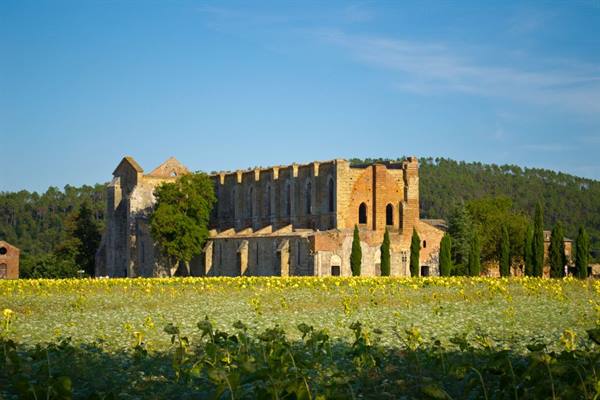 San Galgano, Medieval Abbey