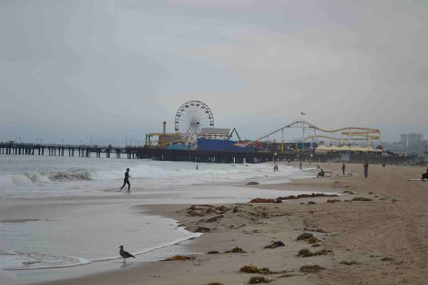 The pier seen from Santa Monica beach