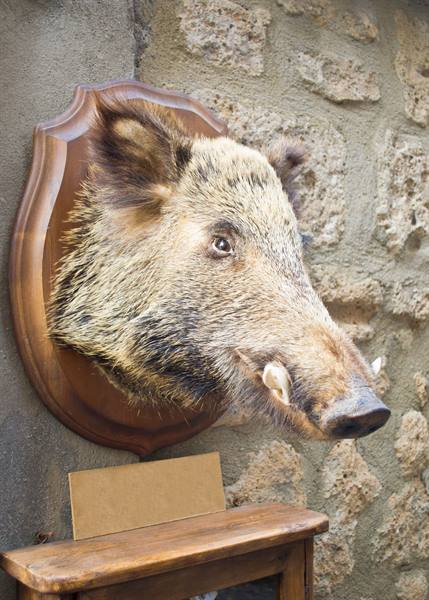Orvieto, also famous for its wild boar
