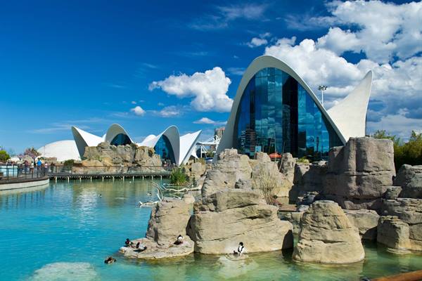 Penguins on rocks at Valencia's Oceanogràfic, white shells reflected in turquoise water