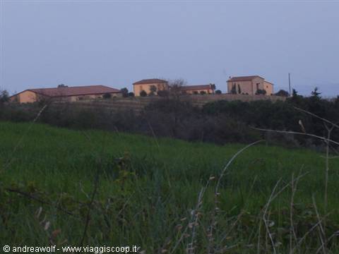 Cariplo Consortium (Trequanda)