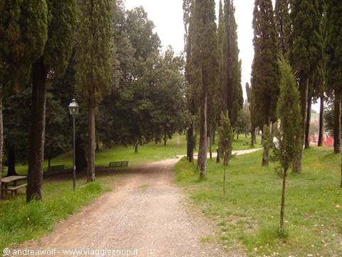 The park of the old Windmill (Trequanda)